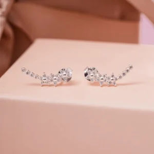 Brinco Estrela Cadente